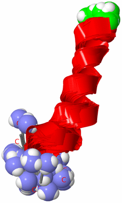 Image NMR Structure - all models
