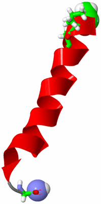 Image NMR Structure - model 1, sites