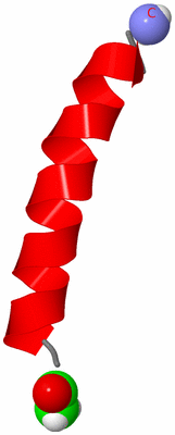 Image NMR Structure - model 1