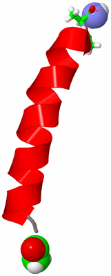Image NMR Structure - model 1, sites