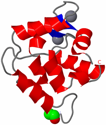 Image Asymmetric Unit