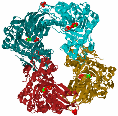 Image Biological Unit 1