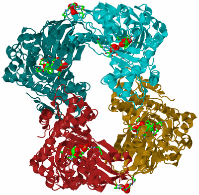 Image Biol. Unit 1 - sites