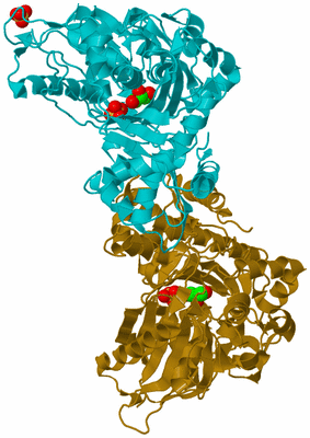 Image Biological Unit 2