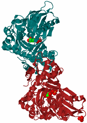 Image Biological Unit 3