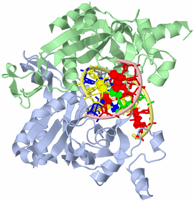 Image Asym./Biol. Unit