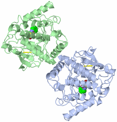 Image Asymmetric Unit