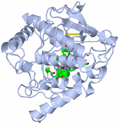 Image Biol. Unit 1 - sites
