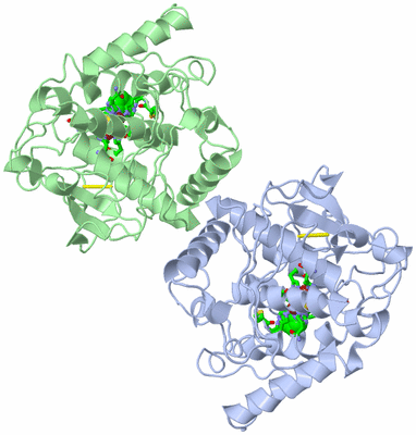 Image Asym. Unit - sites