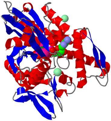 Image Asym./Biol. Unit