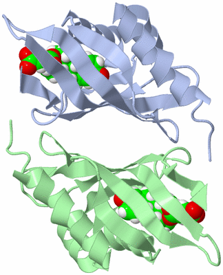 Image NMR Structure - model 1