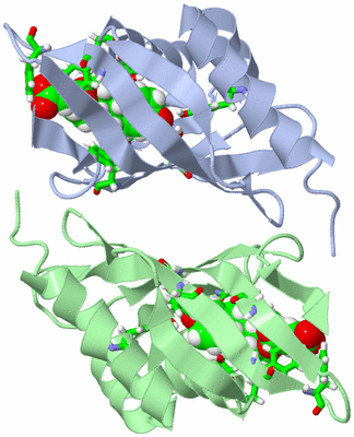 Image NMR Structure - model 1, sites