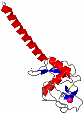 Image Asymmetric Unit