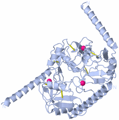 Image Biological Unit 1