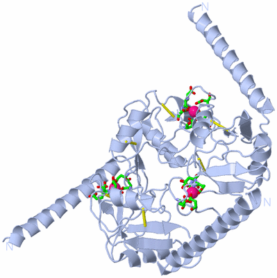 Image Biol. Unit 1 - sites