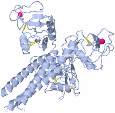 Image Biological Unit 2