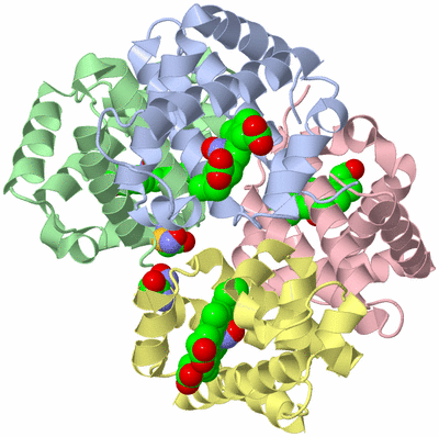 Image Asym./Biol. Unit