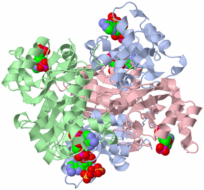 Image Biological Unit 1