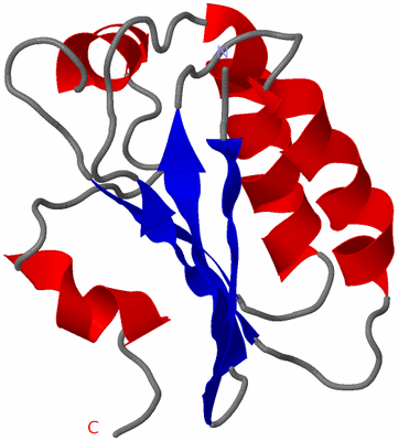 Image NMR Structure - model 1