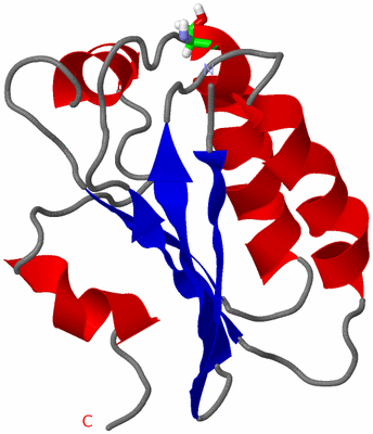 Image NMR Structure - model 1, sites