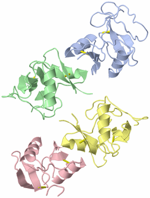 Image Asym./Biol. Unit