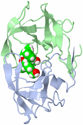 Image NMR Structure - model 1