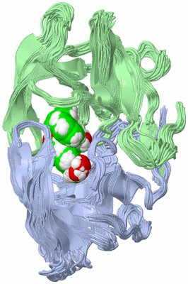 Image NMR Structure - all models