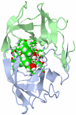 Image NMR Structure - model 1, sites