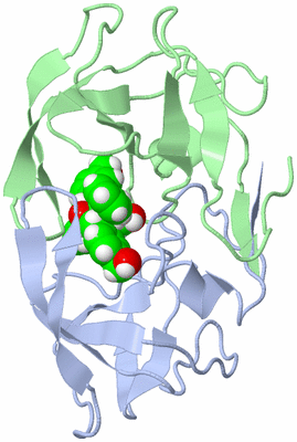 Image NMR Structure - all models