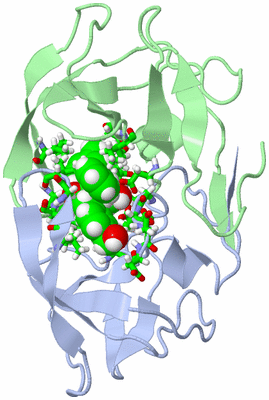 Image NMR Structure - model 1, sites