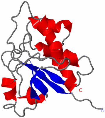 Image NMR Structure - model 1