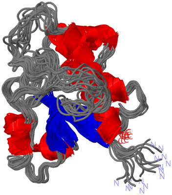 Image NMR Structure - all models