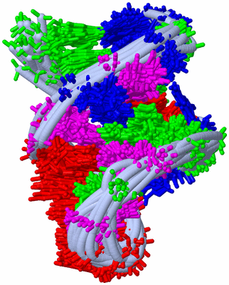 Image NMR Structure - all models