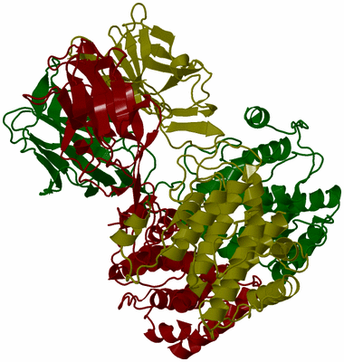 Image Biological Unit 2