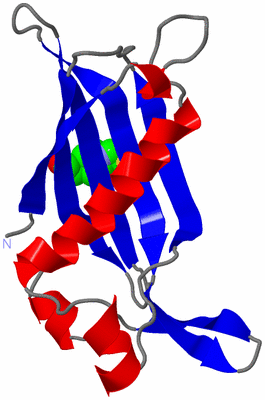Image Asymmetric Unit