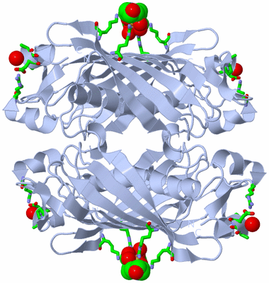 Image Biol. Unit 1 - sites