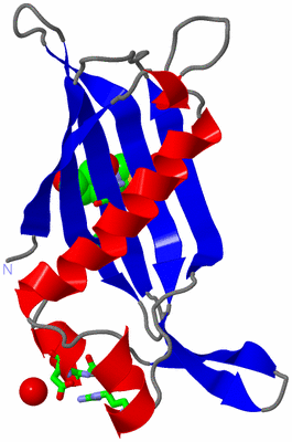 Image Asym. Unit - sites