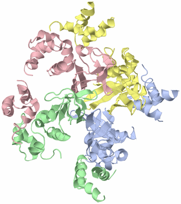 Image Biological Unit 2