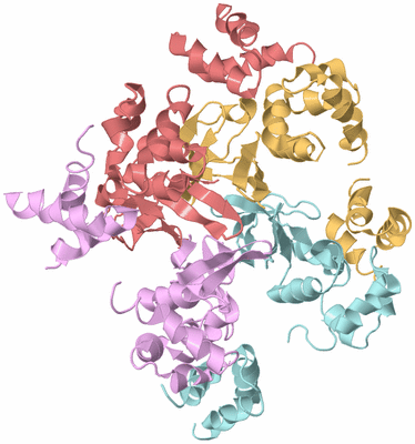 Image Biological Unit 3