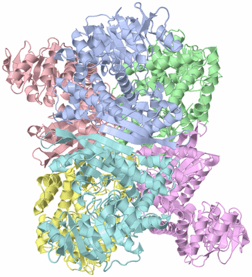 Image Asym./Biol. Unit