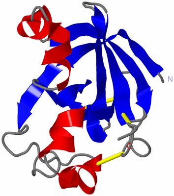 Image NMR Structure - model 1