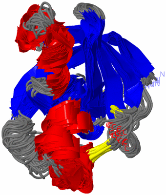 Image NMR Structure - all models