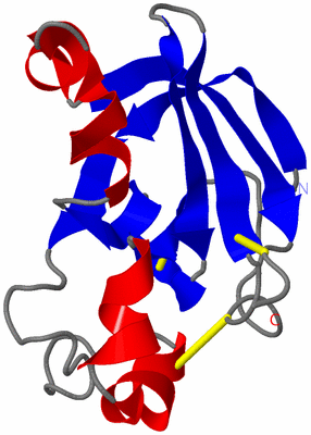 Image NMR Structure - model 1