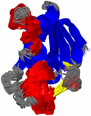 Image NMR Structure - all models