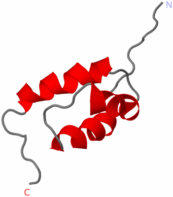 Image NMR Structure - model 1