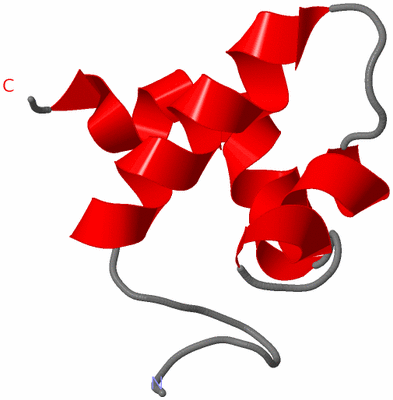 Image NMR Structure - all models