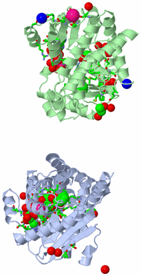 Image Asym./Biol. Unit - sites