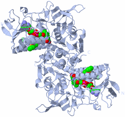 Image Biological Unit 1