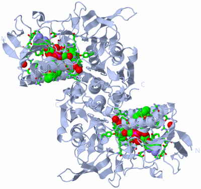 Image Biol. Unit 1 - sites