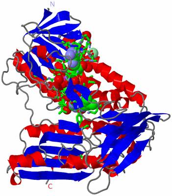 Image Asym. Unit - sites